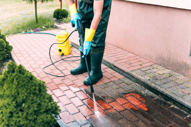 Best Residential Pressure Washing in Newton Falls, OH